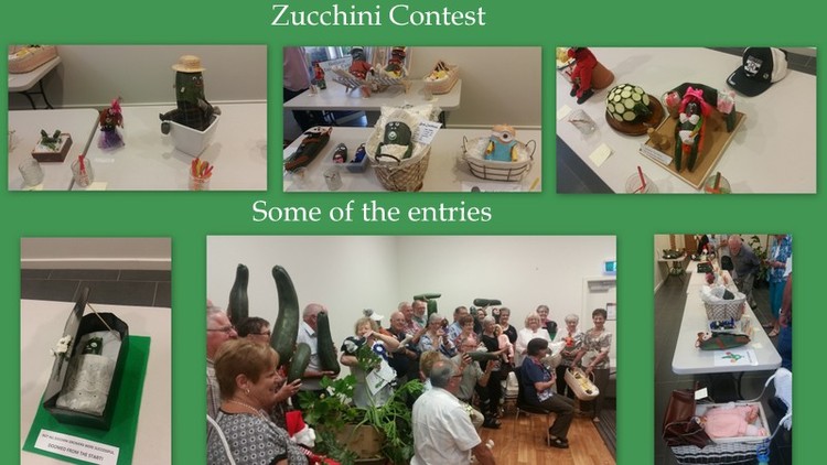 zucchini_contest